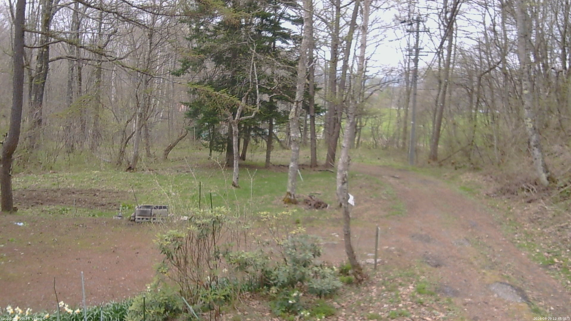 長野県菅平高原 ゆたか山荘 坂上 2026/04/29 12:45