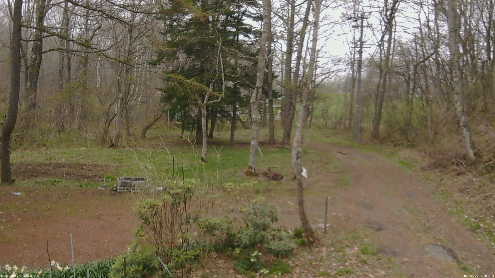 長野県菅平高原 ゆたか山荘 坂上 2026/04/29 16:00