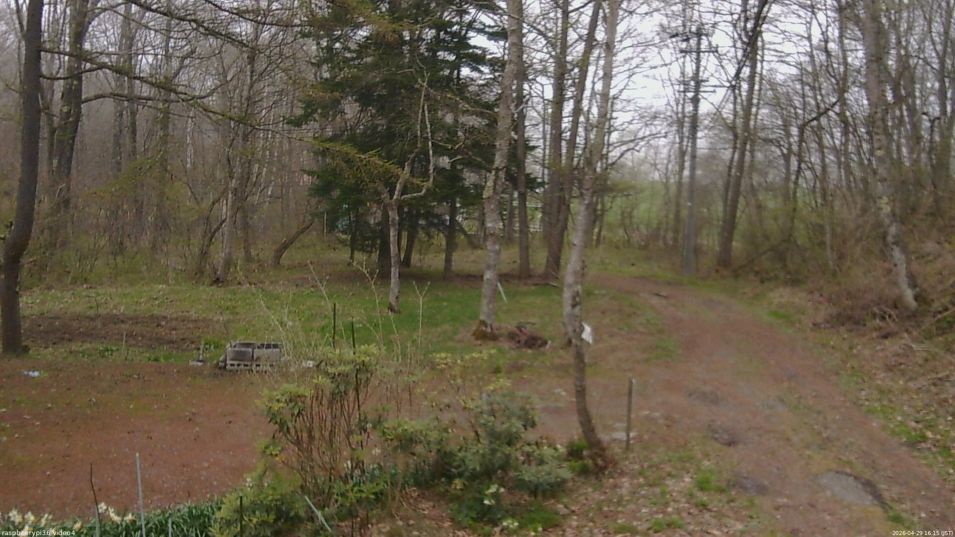 長野県菅平高原 ゆたか山荘 坂上 2026/04/29 16:15