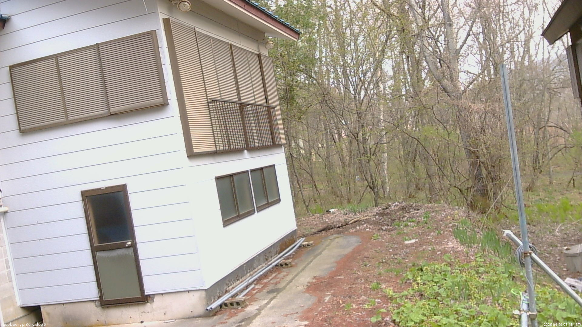 長野県菅平高原 ゆたか山荘 坂下 2026/04/29 05:45