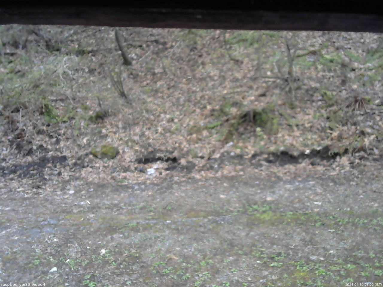 長野県菅平高原 ゆたか山荘 東側(坂下) 2026/04/30 06:00