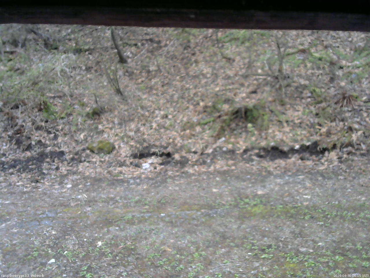 長野県菅平高原 ゆたか山荘 東側(坂下) 2026/04/30 06:15
