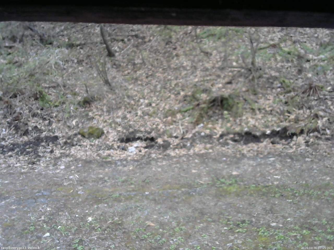 長野県菅平高原 ゆたか山荘 東側(坂下) 2026/04/30 07:15