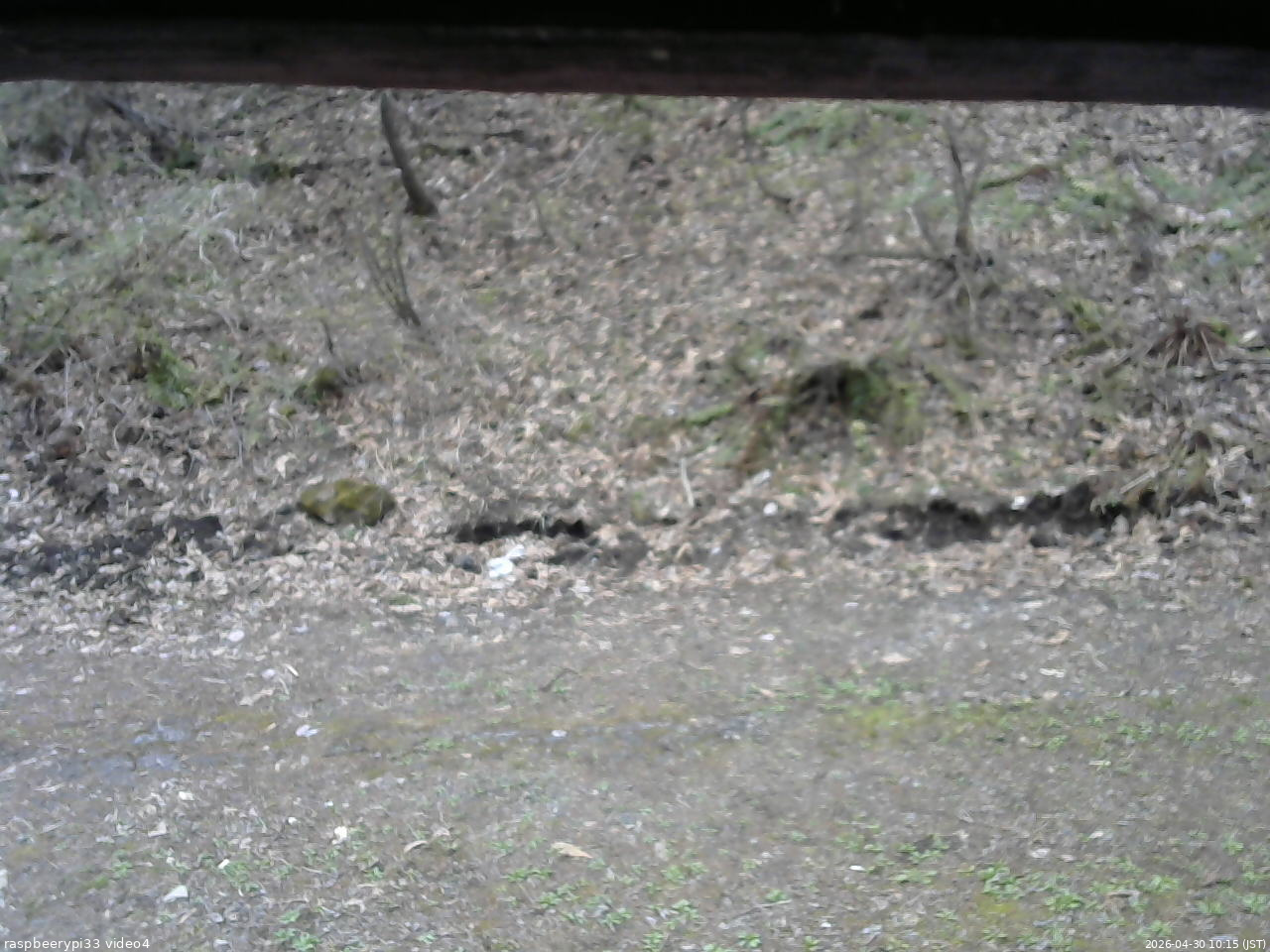 長野県菅平高原 ゆたか山荘 東側(坂下) 2026/04/30 10:15