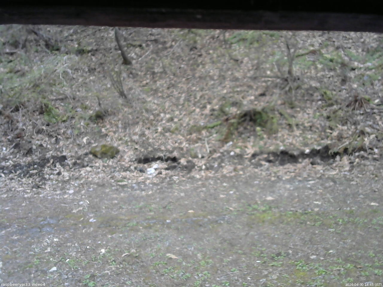 長野県菅平高原 ゆたか山荘 東側(坂下) 2026/04/30 14:45