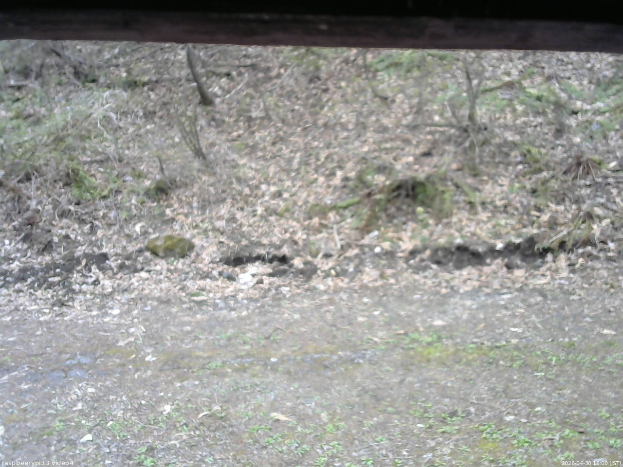 長野県菅平高原 ゆたか山荘 東側(坂下) 2026/04/30 16:00