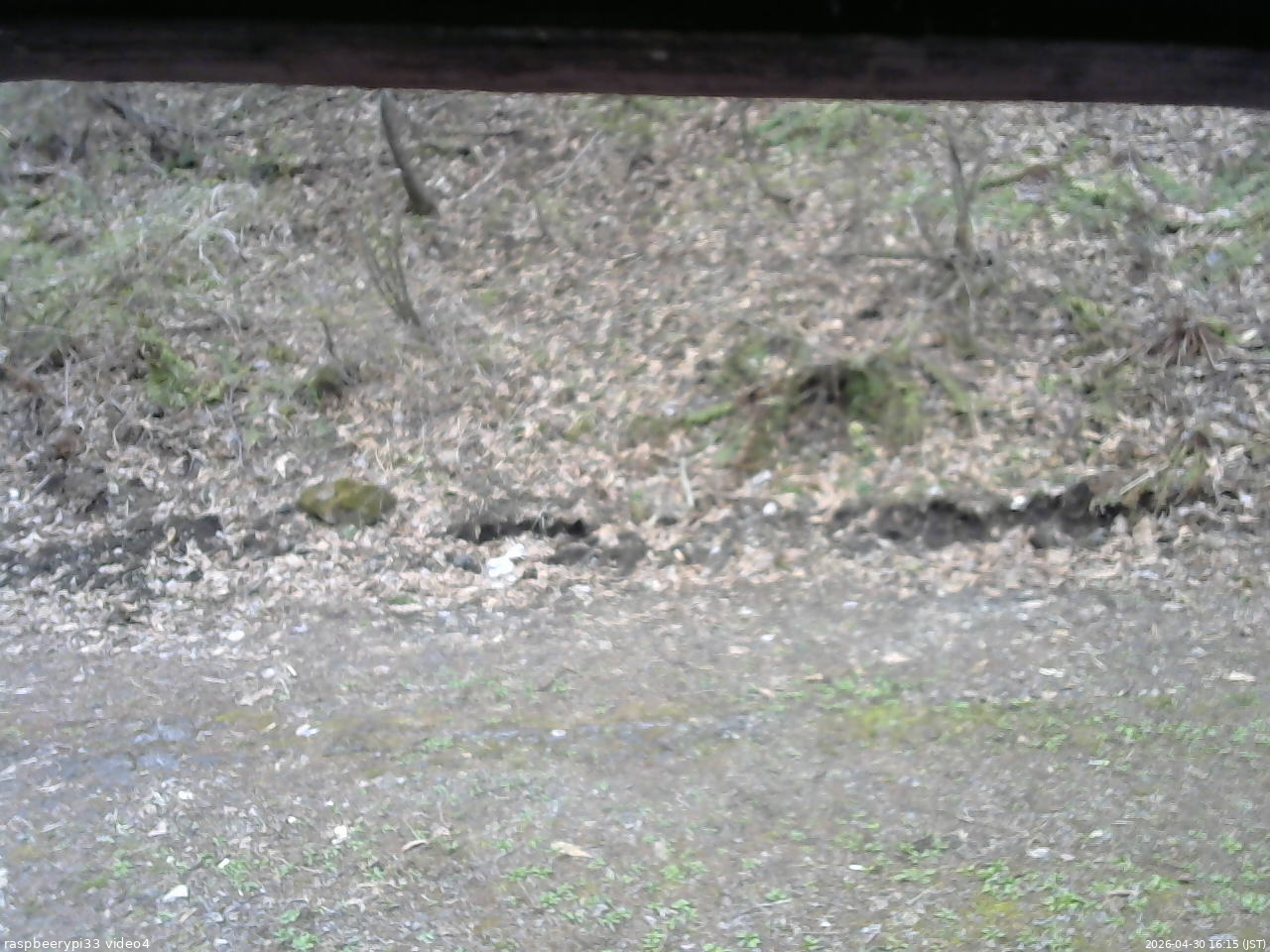 長野県菅平高原 ゆたか山荘 東側(坂下) 2026/04/30 16:15