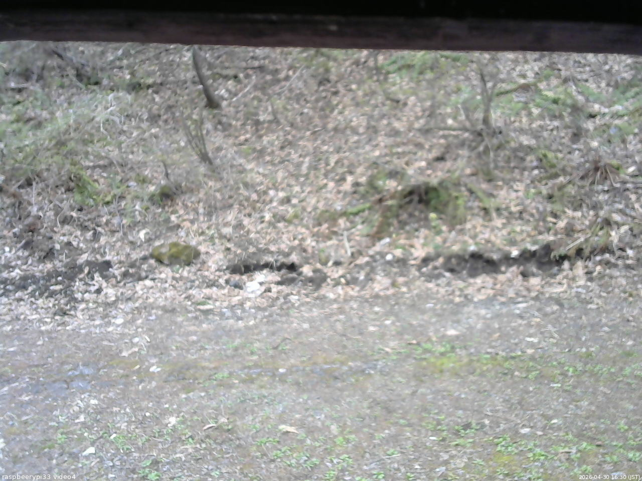 長野県菅平高原 ゆたか山荘 東側(坂下) 2026/04/30 16:30