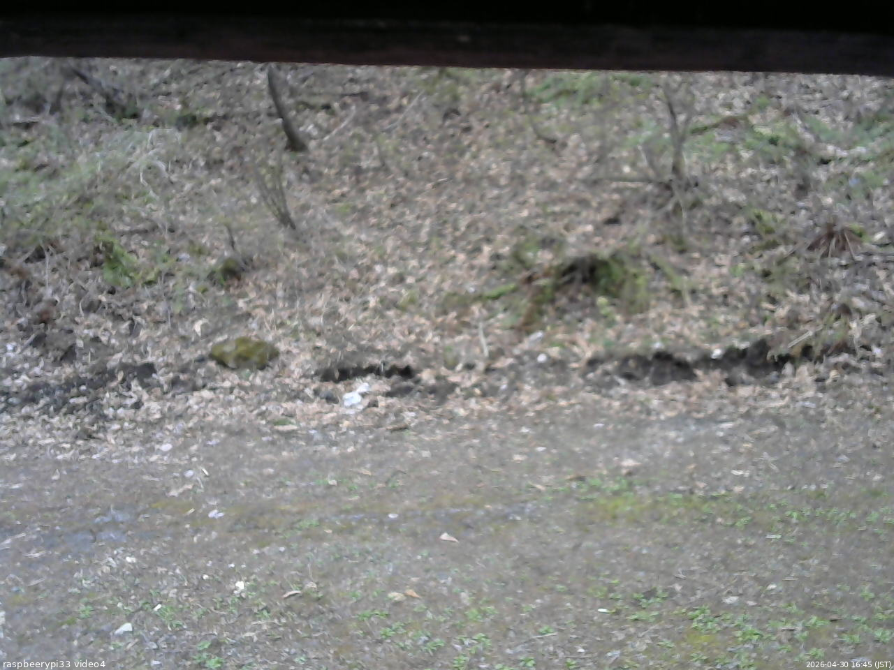 長野県菅平高原 ゆたか山荘 東側(坂下) 2026/04/30 16:45