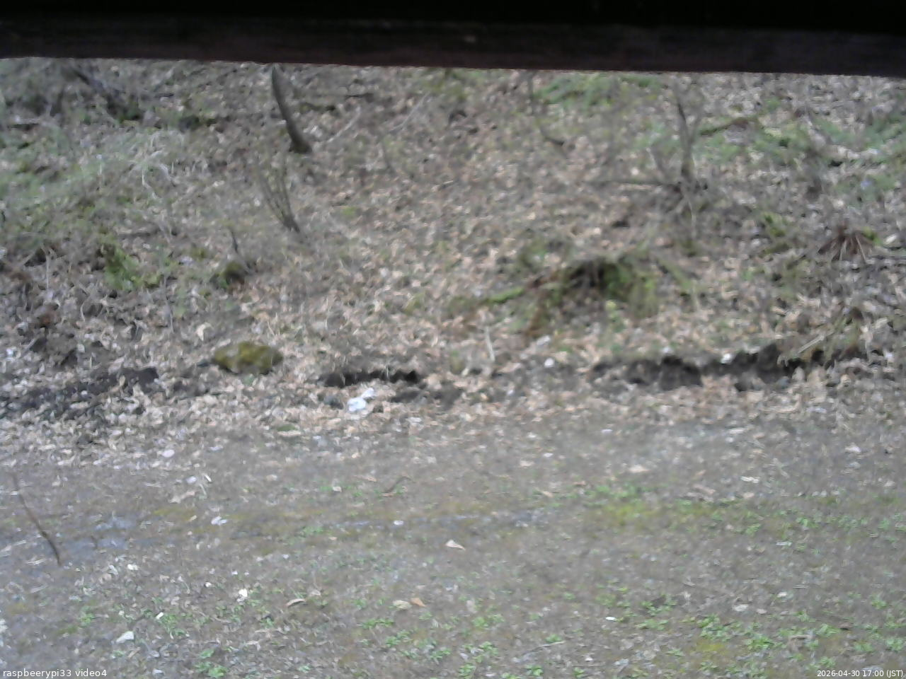 長野県菅平高原 ゆたか山荘 東側(坂下) 2026/04/30 17:00