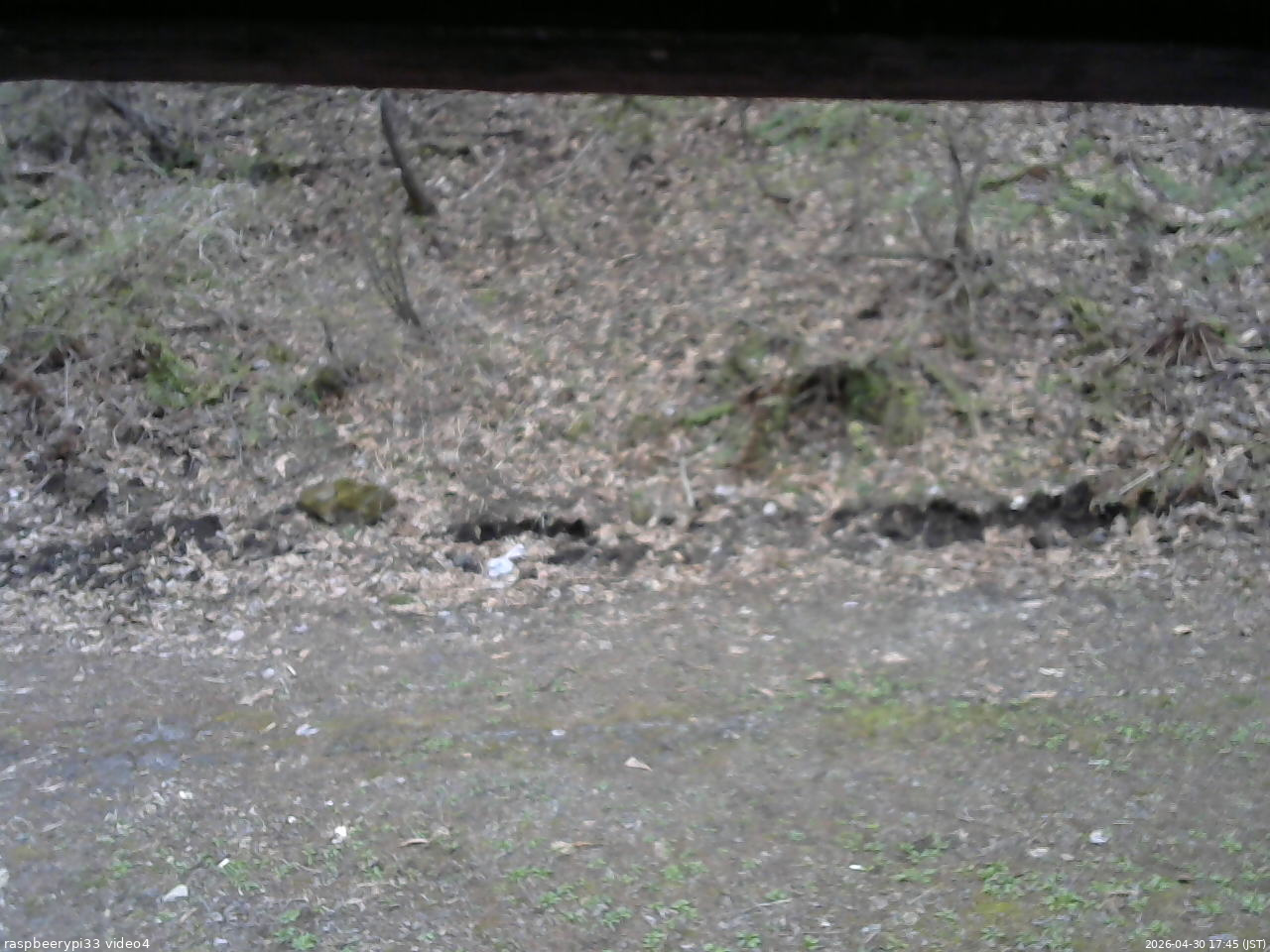 長野県菅平高原 ゆたか山荘 東側(坂下) 2026/04/30 17:45