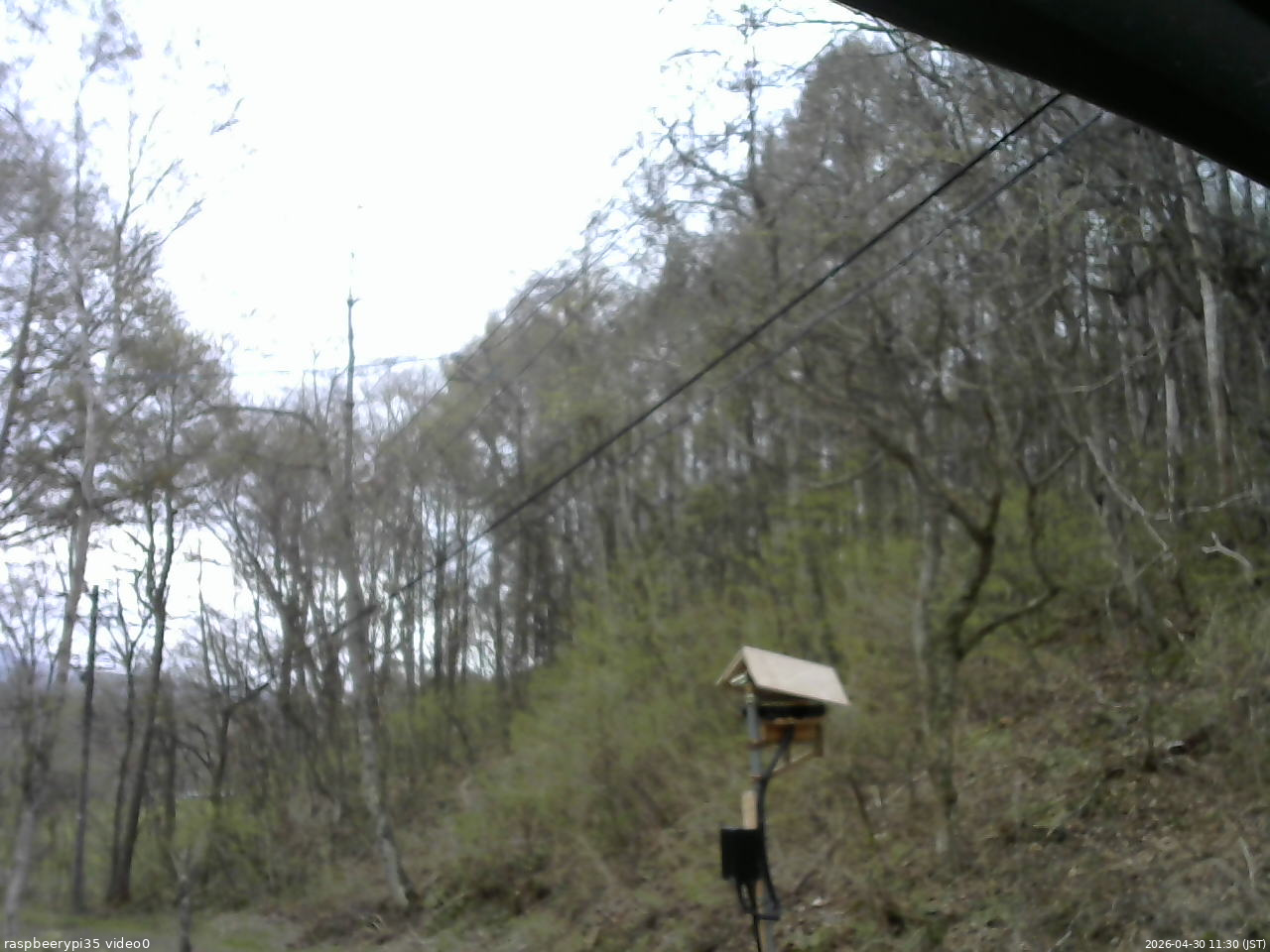 長野県菅平高原 ゆたか山荘 温度計 2026/04/30 11:30