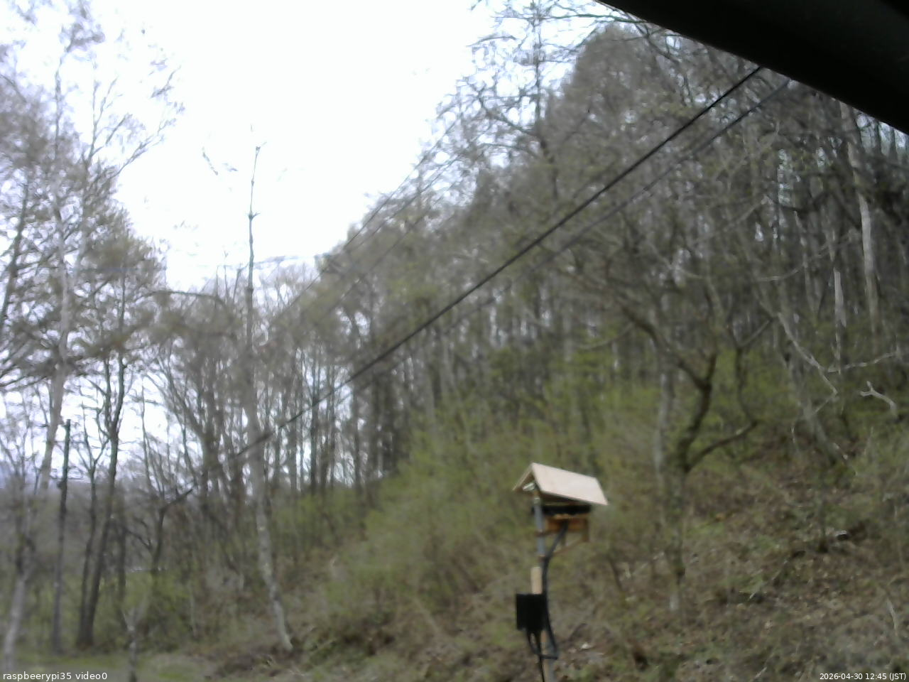 長野県菅平高原 ゆたか山荘 温度計 2026/04/30 12:45