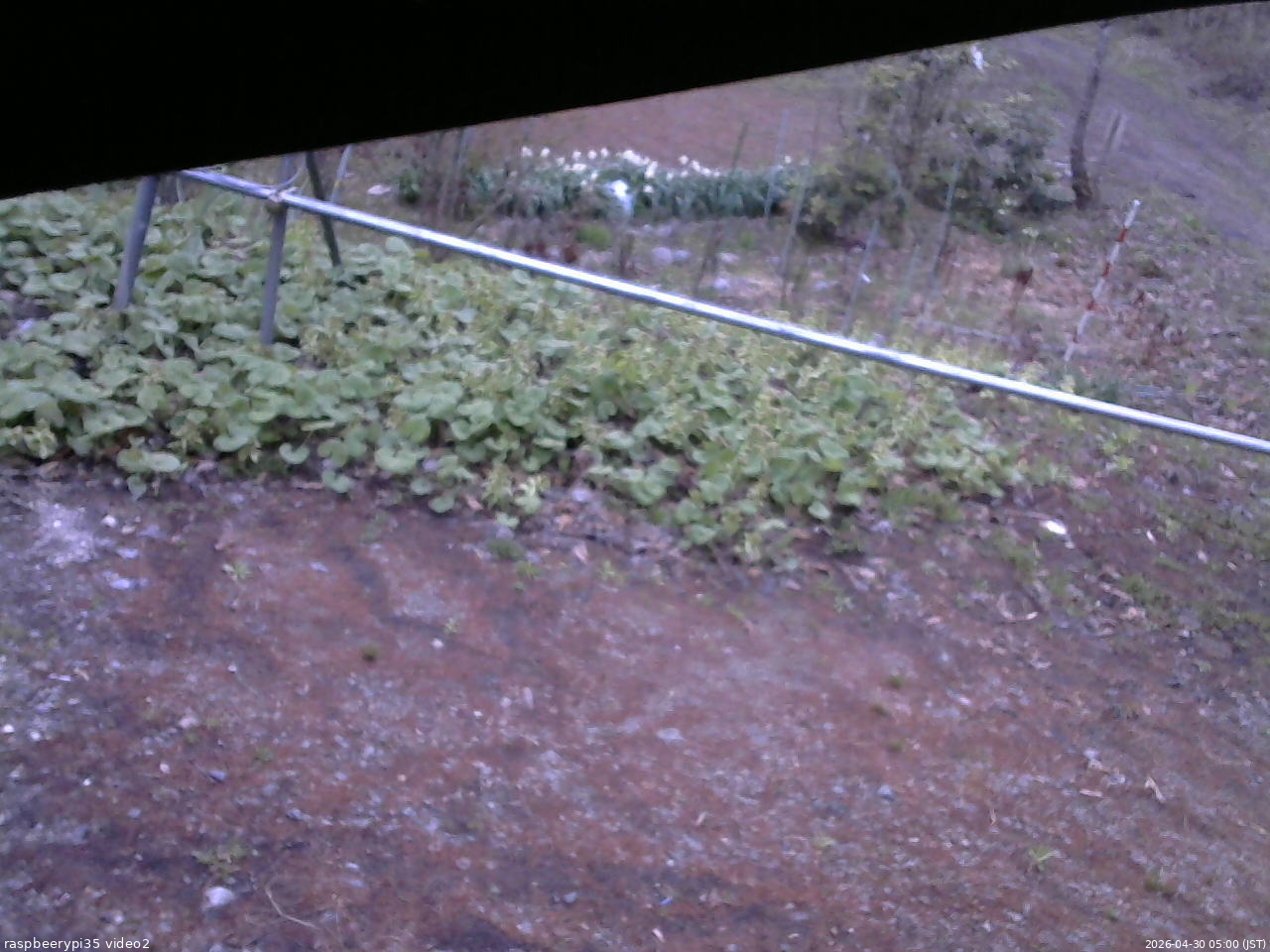 長野県菅平高原 ゆたか山荘 駐車場 2026/04/30 05:00