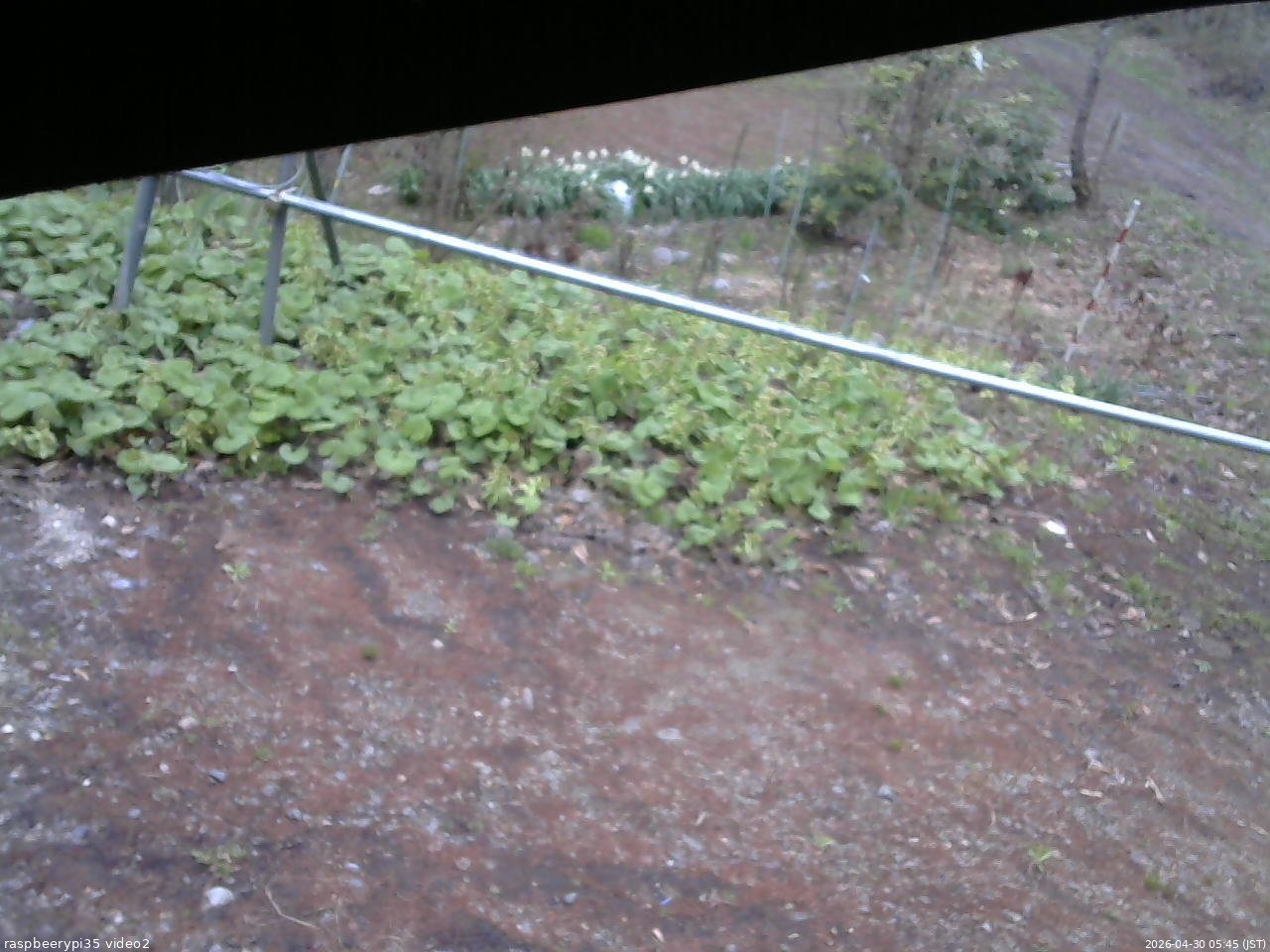 長野県菅平高原 ゆたか山荘 駐車場 2026/04/30 05:45