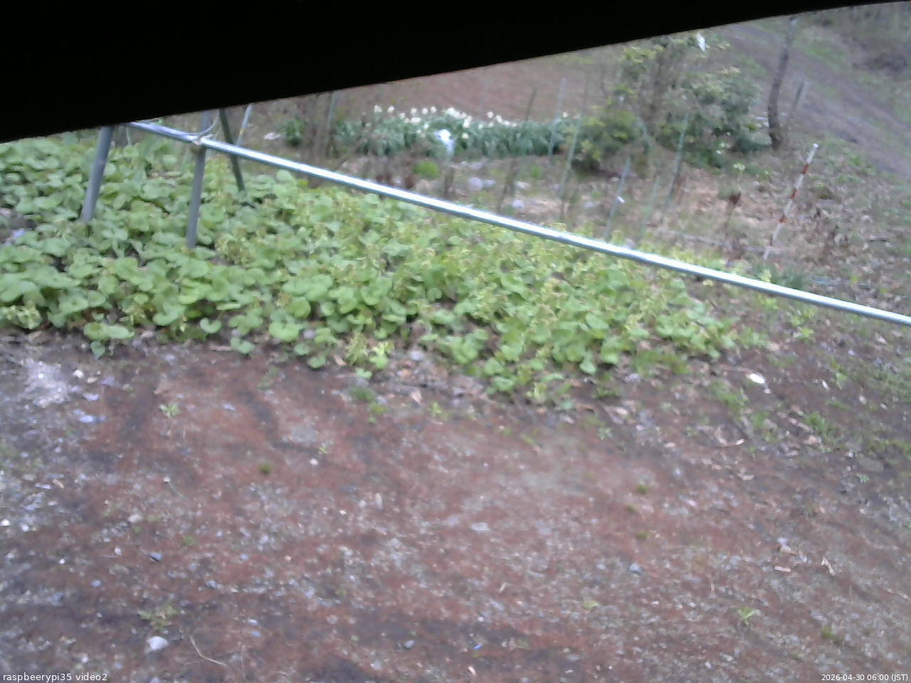 長野県菅平高原 ゆたか山荘 駐車場 2026/04/30 06:00
