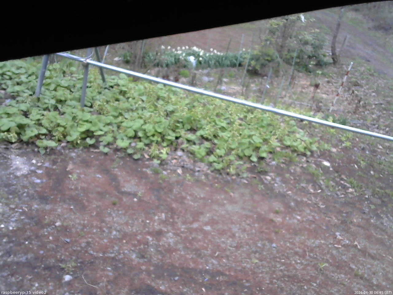 長野県菅平高原 ゆたか山荘 駐車場 2026/04/30 06:45