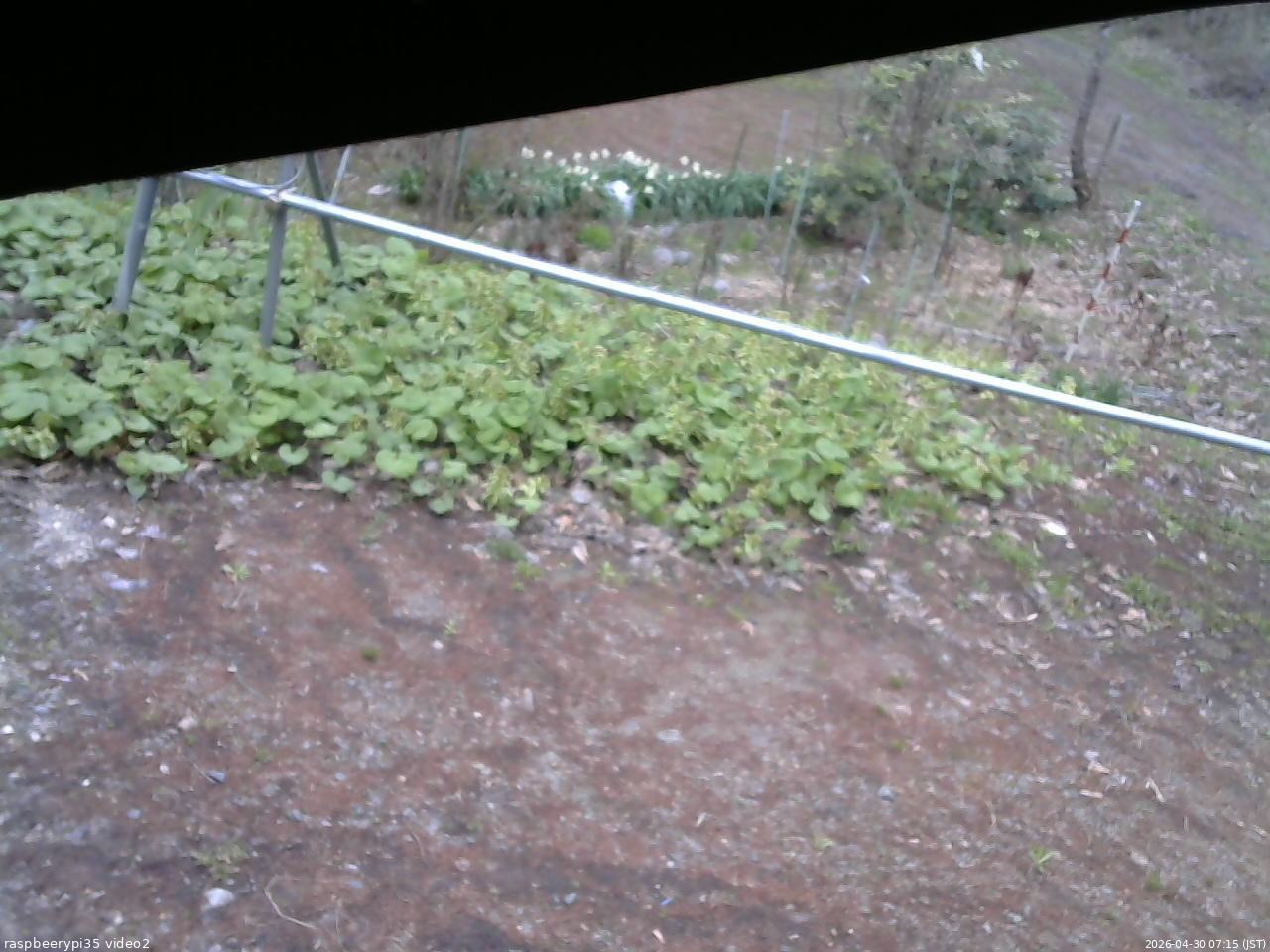 長野県菅平高原 ゆたか山荘 駐車場 2026/04/30 07:15