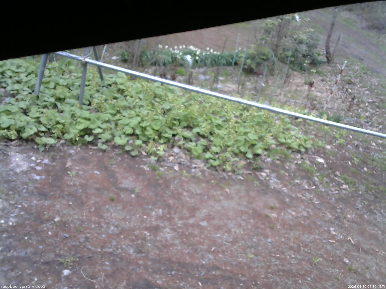 長野県菅平高原 ゆたか山荘 駐車場 2026/04/30 07:30