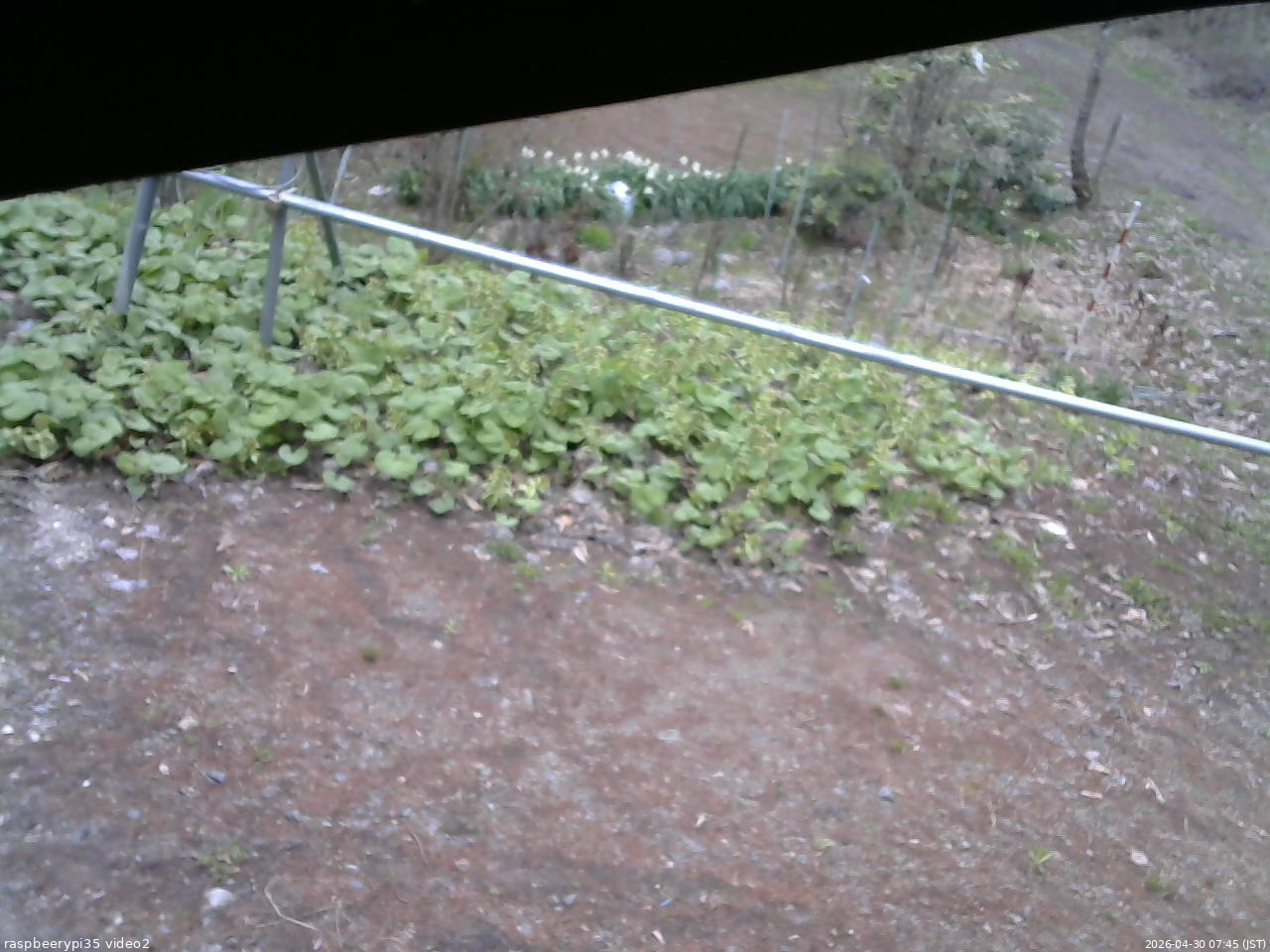 長野県菅平高原 ゆたか山荘 駐車場 2026/04/30 07:45