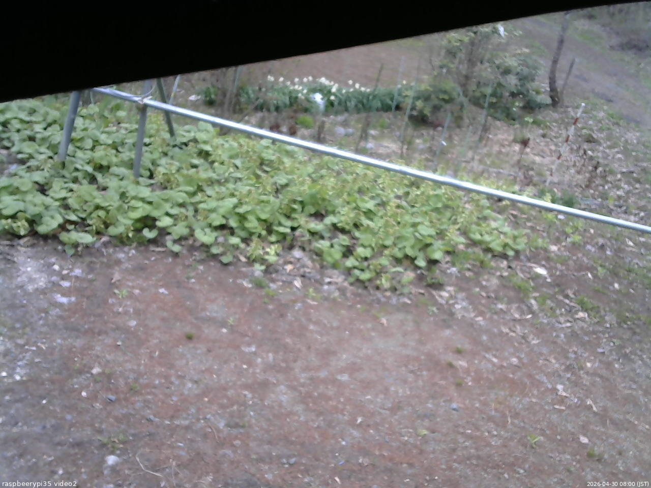 長野県菅平高原 ゆたか山荘 駐車場 2026/04/30 08:00