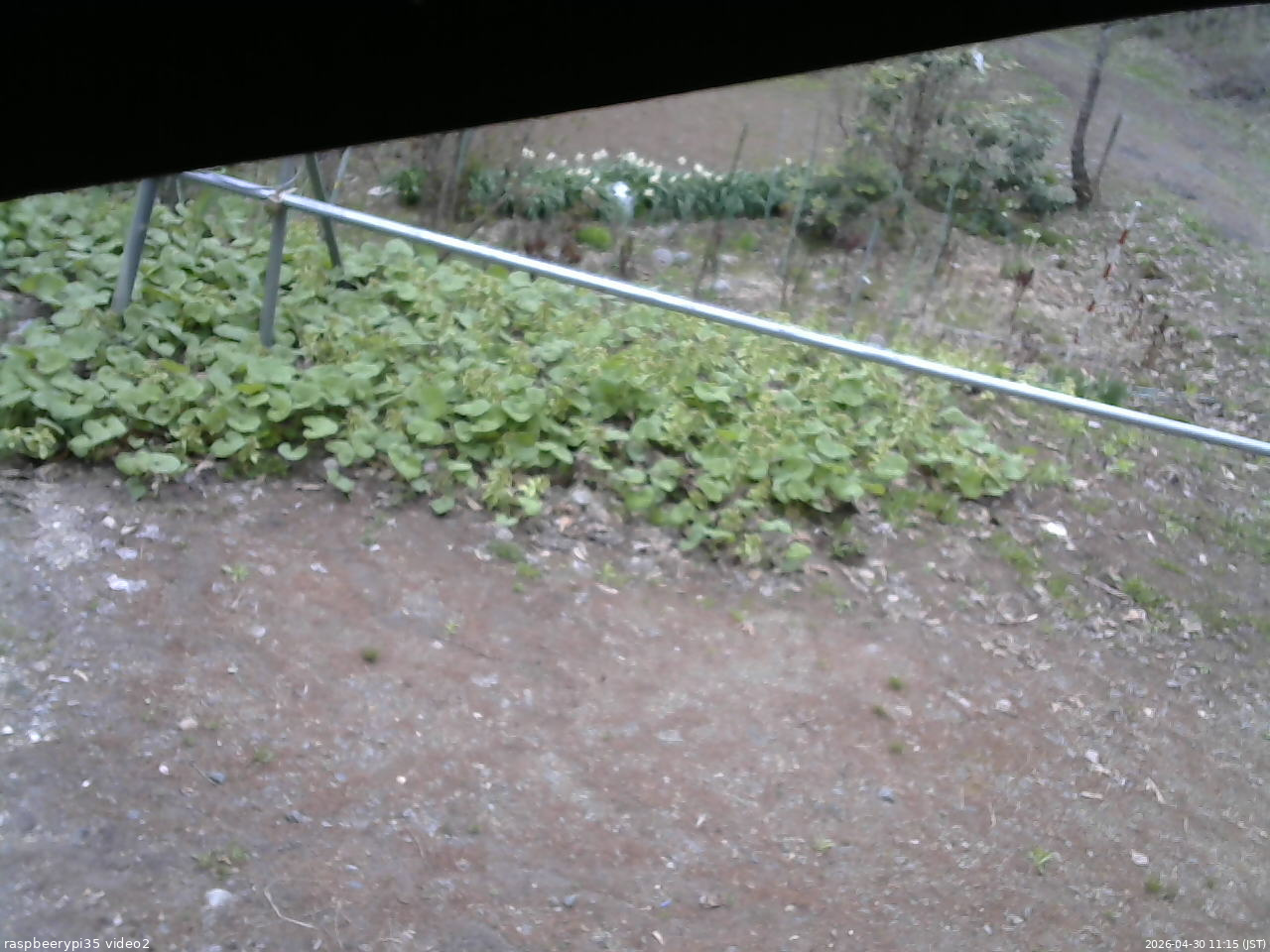 長野県菅平高原 ゆたか山荘 駐車場 2026/04/30 11:15