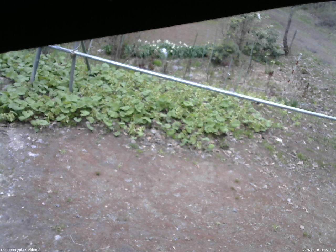 長野県菅平高原 ゆたか山荘 駐車場 2026/04/30 11:45
