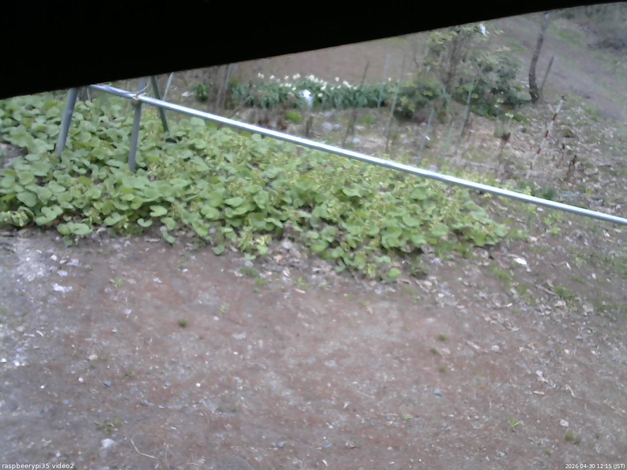 長野県菅平高原 ゆたか山荘 駐車場 2026/04/30 12:15