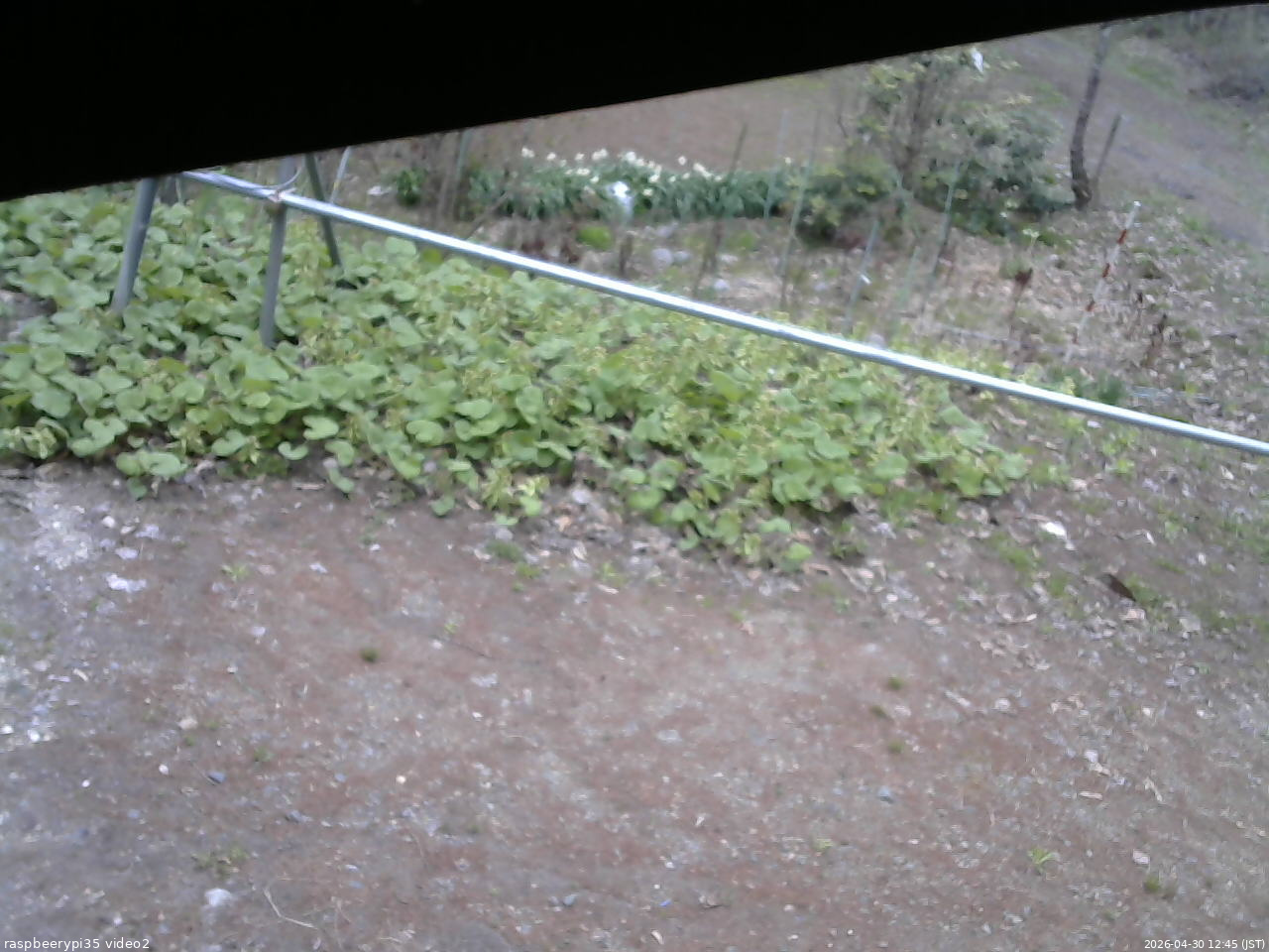 長野県菅平高原 ゆたか山荘 駐車場 2026/04/30 12:45