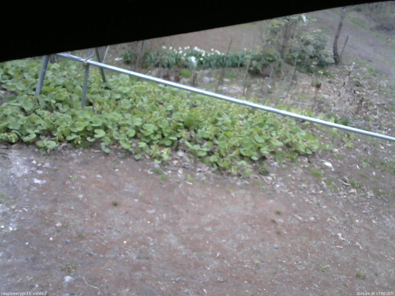 長野県菅平高原 ゆたか山荘 駐車場 2026/04/30 17:00