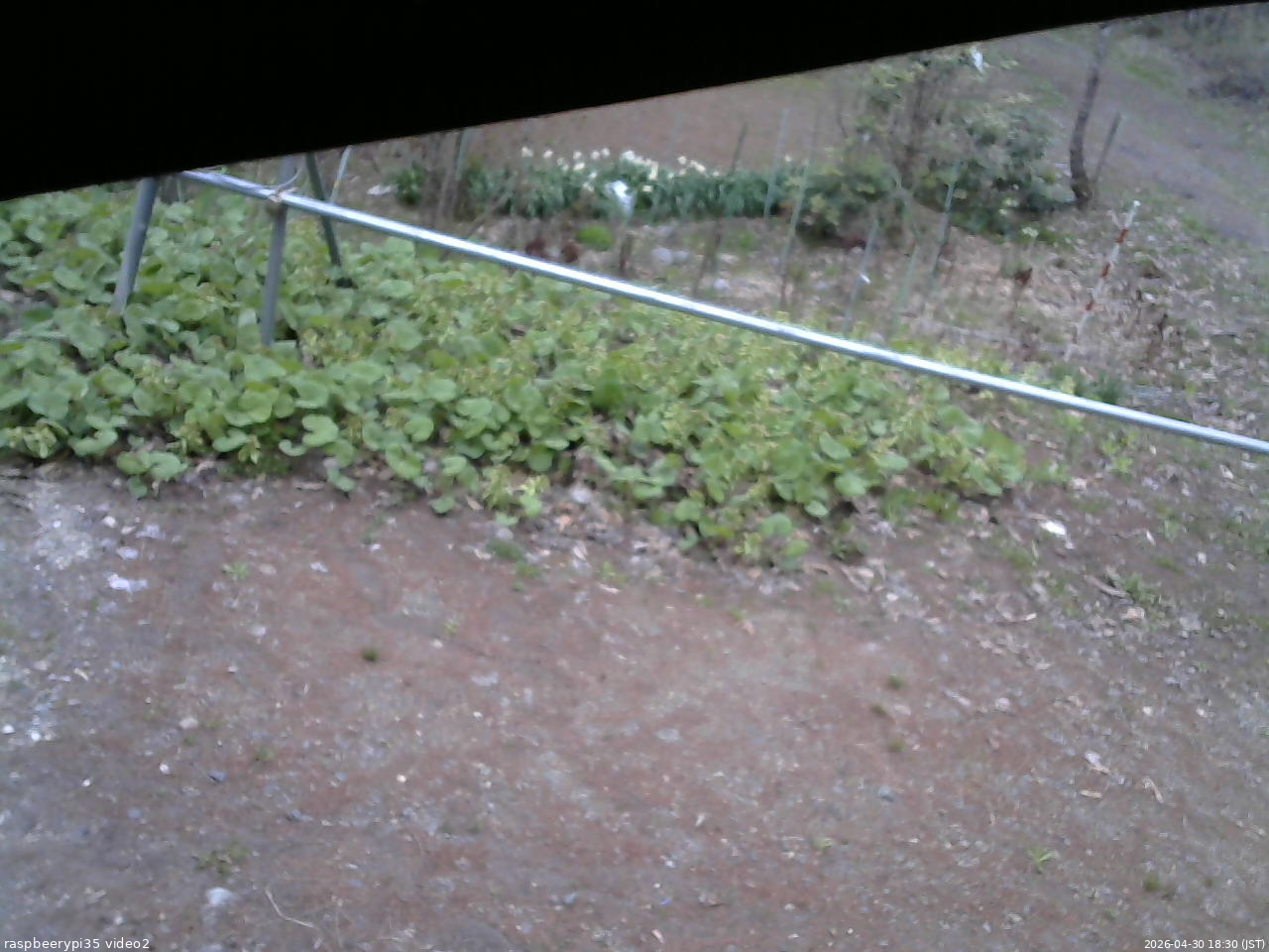 長野県菅平高原 ゆたか山荘 駐車場 2026/04/30 18:30