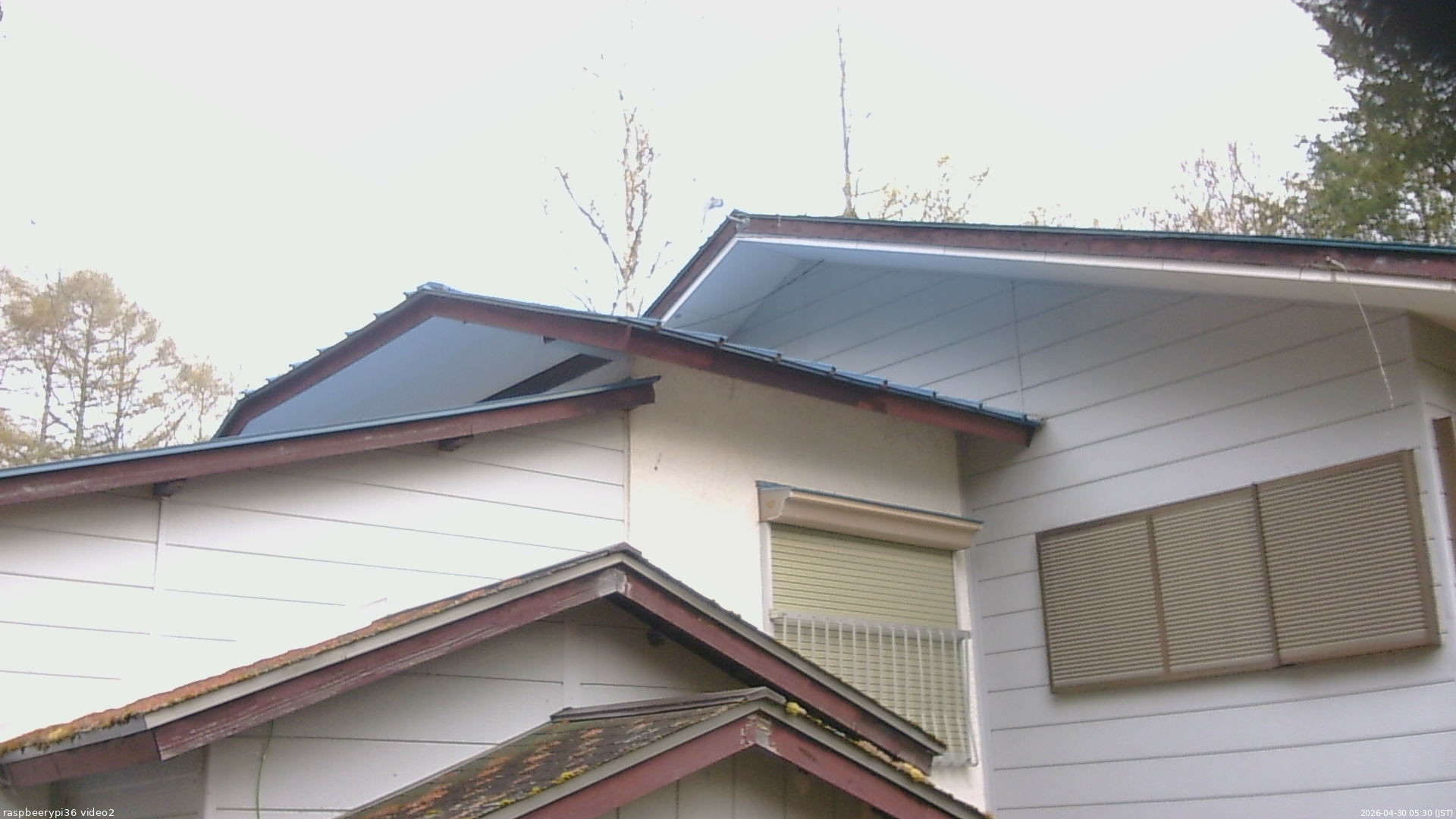 長野県菅平高原 ゆたか山荘 駐車場奥 2026/04/30 05:30