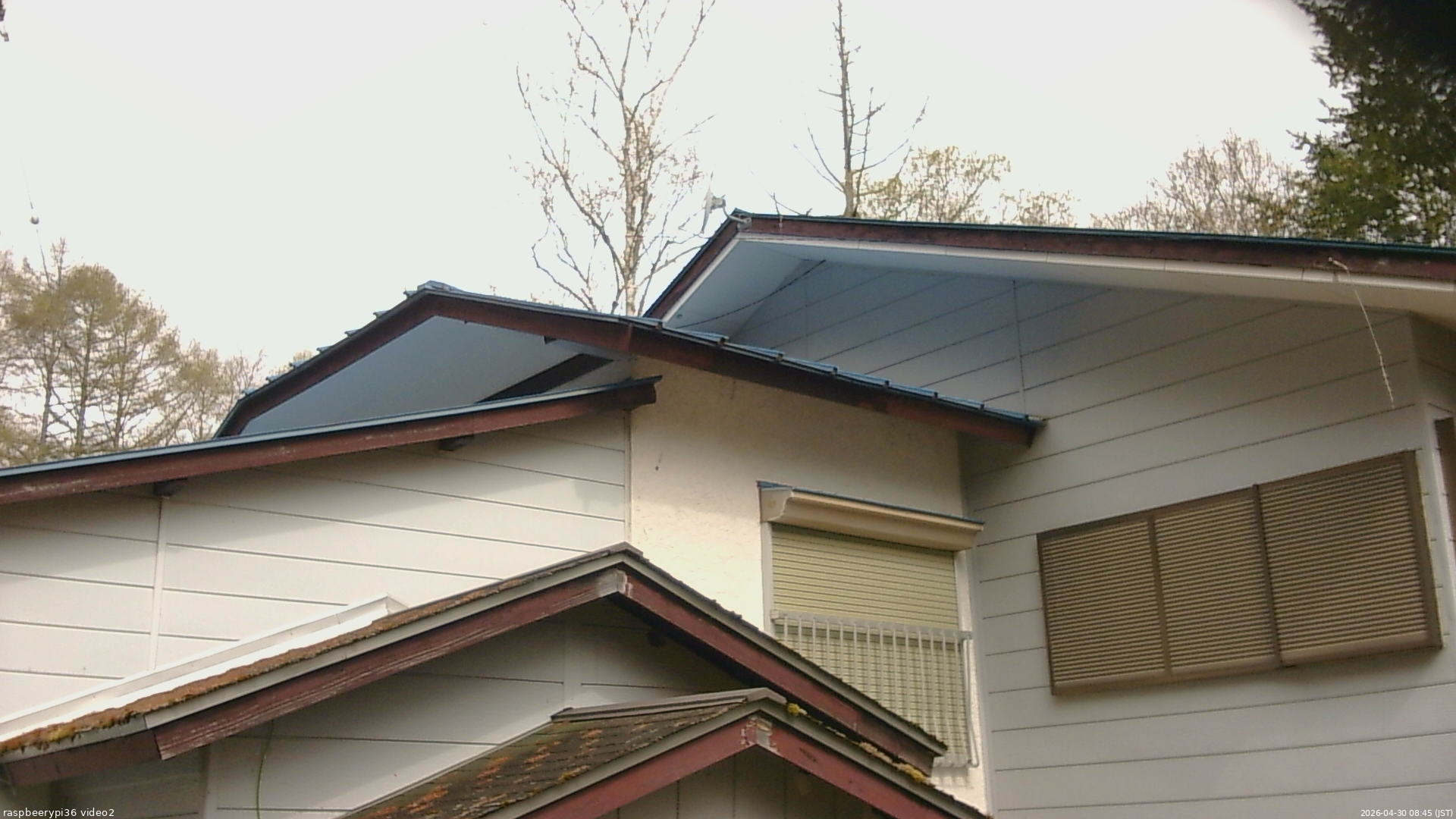長野県菅平高原 ゆたか山荘 駐車場奥 2026/04/30 08:45