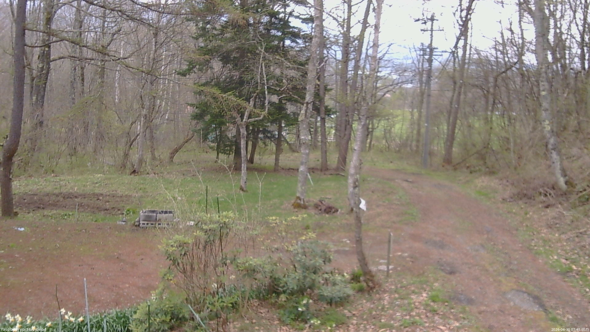 長野県菅平高原 ゆたか山荘 坂上 2026/04/30 07:45