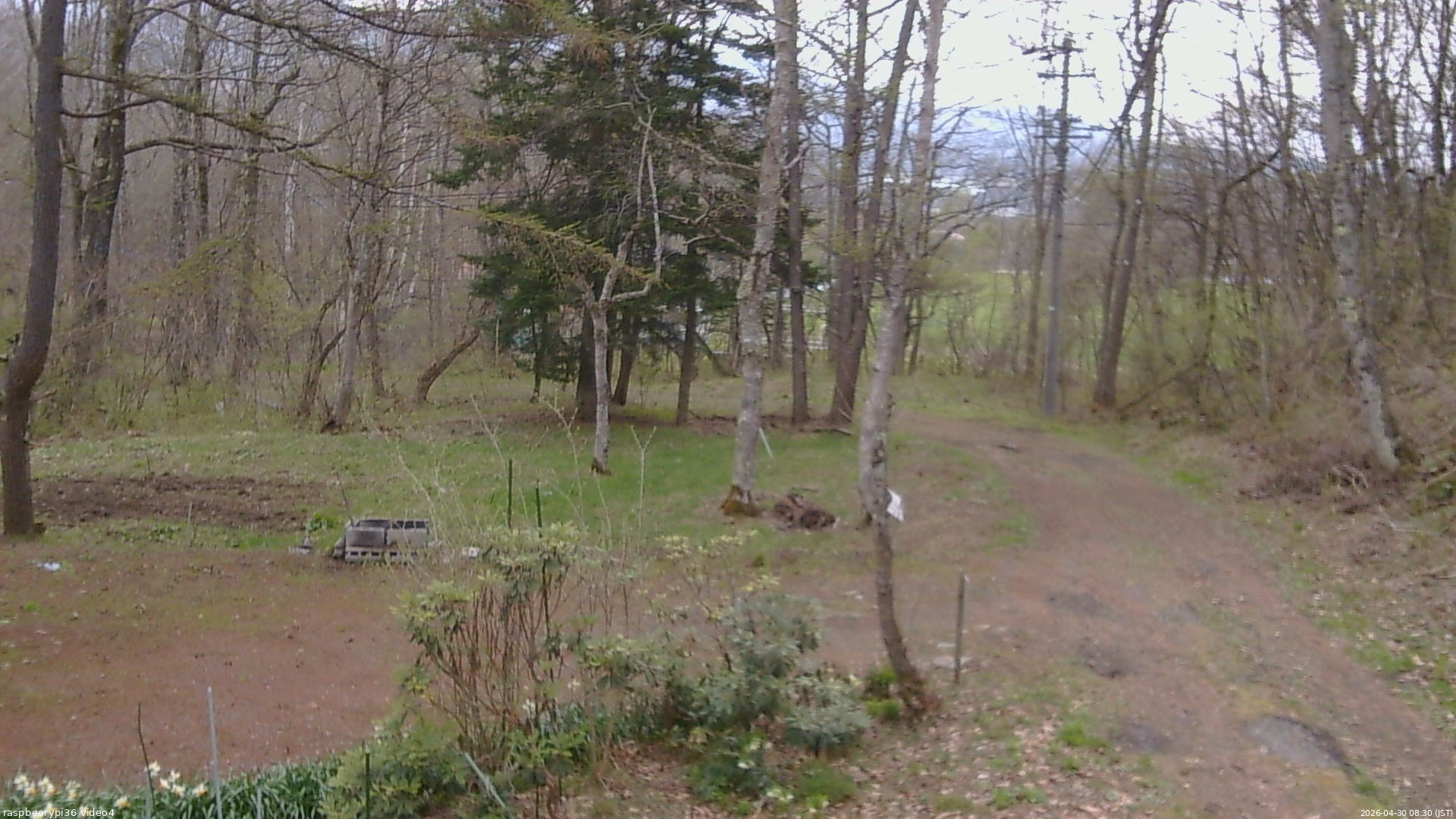長野県菅平高原 ゆたか山荘 坂上 2026/04/30 08:30