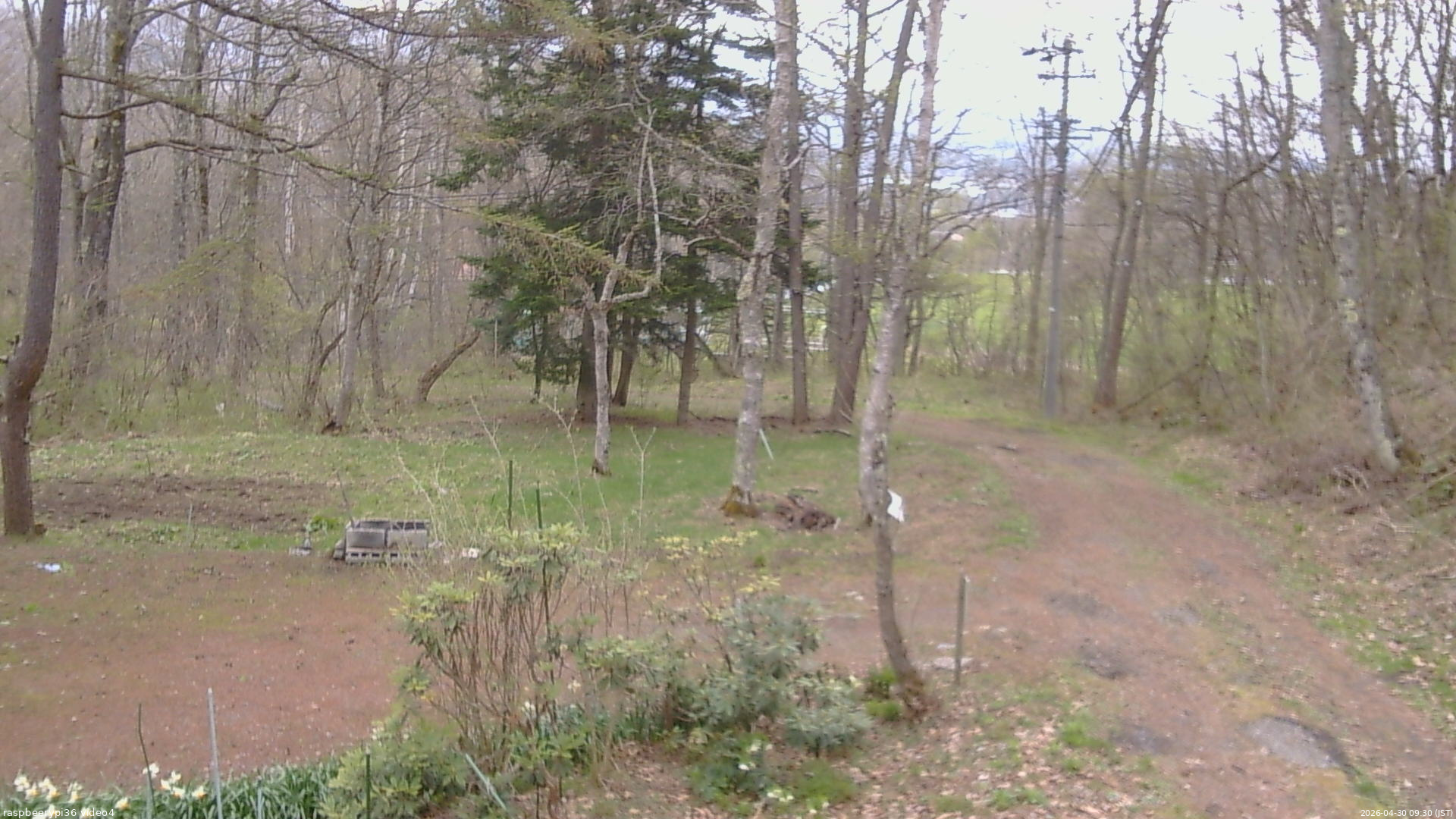 長野県菅平高原 ゆたか山荘 坂上 2026/04/30 09:30