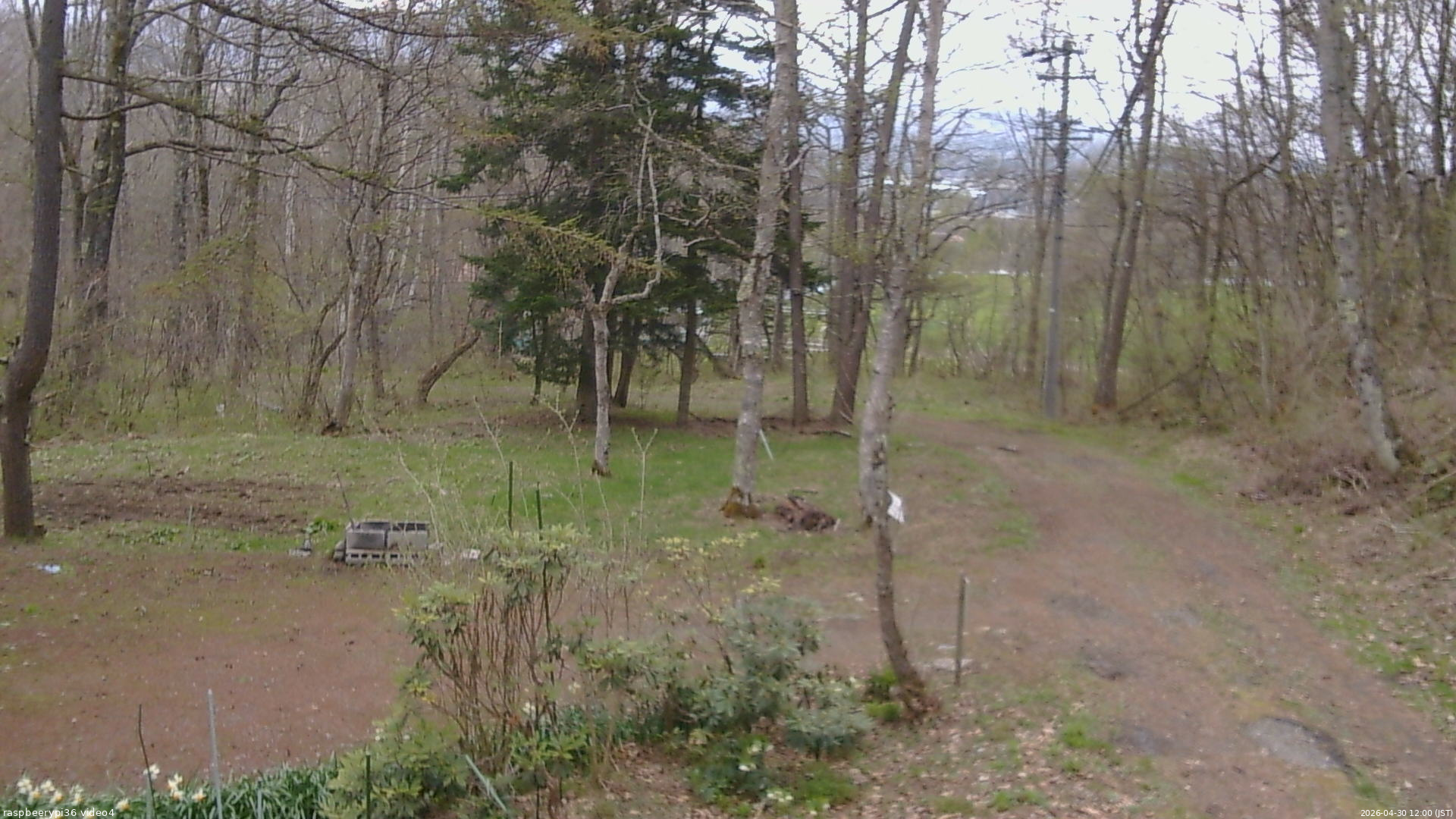 長野県菅平高原 ゆたか山荘 坂上 2026/04/30 12:00