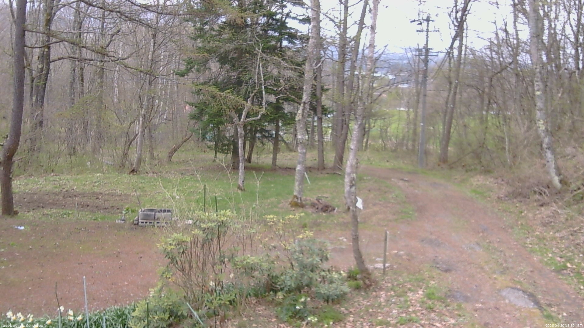 長野県菅平高原 ゆたか山荘 坂上 2026/04/30 13:30