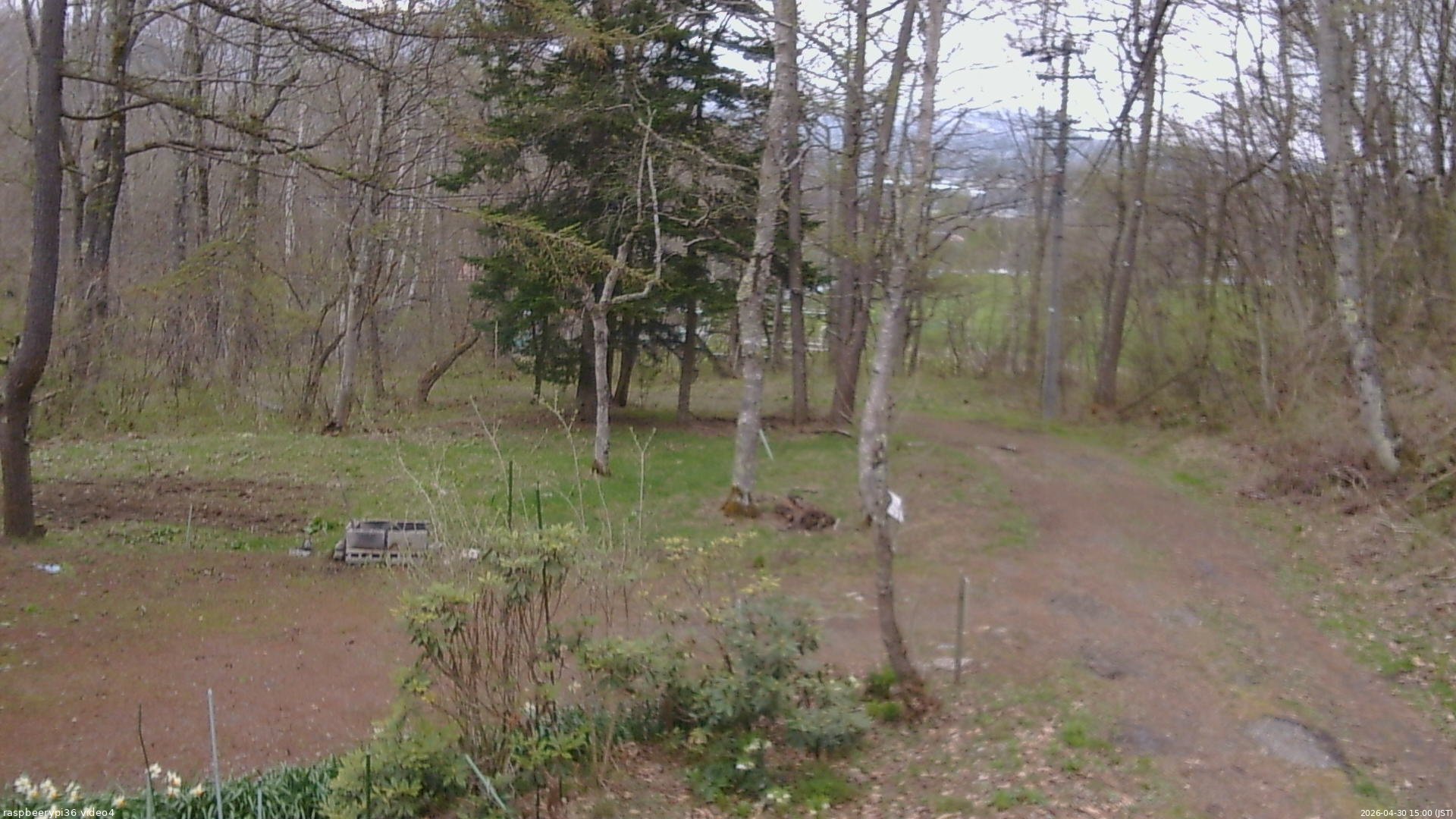 長野県菅平高原 ゆたか山荘 坂上 2026/04/30 15:00