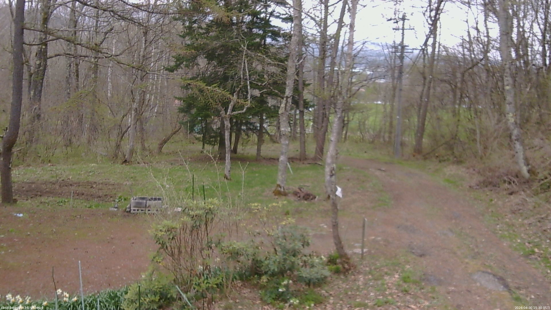 長野県菅平高原 ゆたか山荘 坂上 2026/04/30 15:30