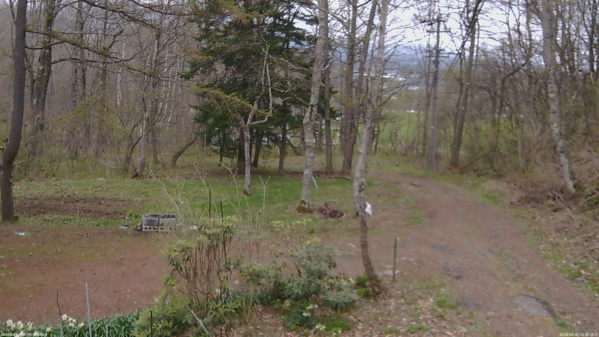長野県菅平高原 ゆたか山荘 坂上 2026/04/30 15:45