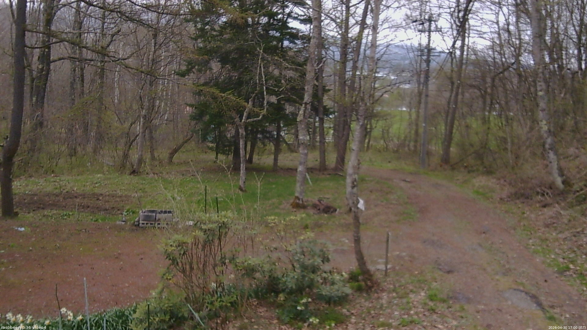 長野県菅平高原 ゆたか山荘 坂上 2026/04/30 17:00