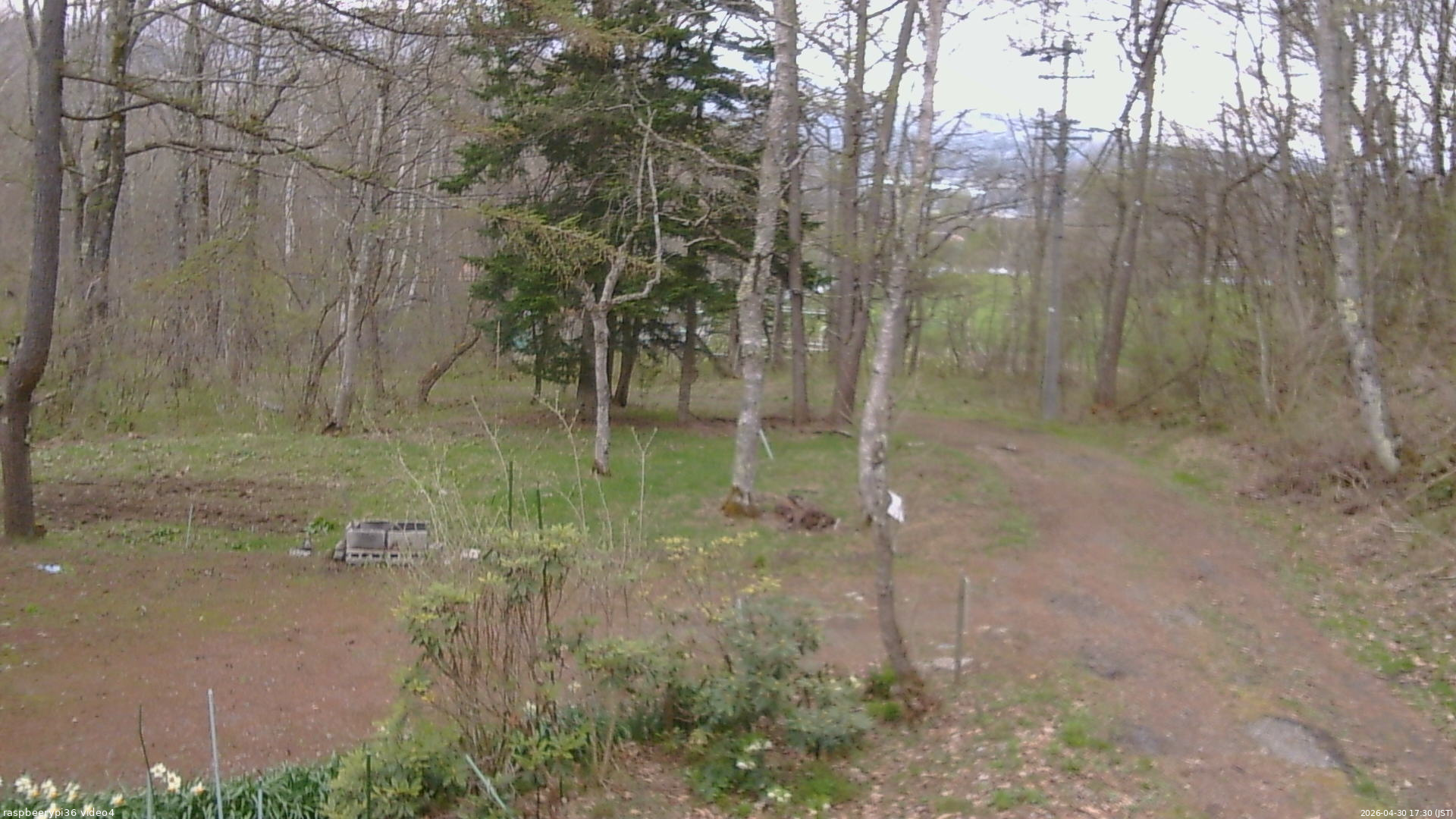 長野県菅平高原 ゆたか山荘 坂上 2026/04/30 17:30