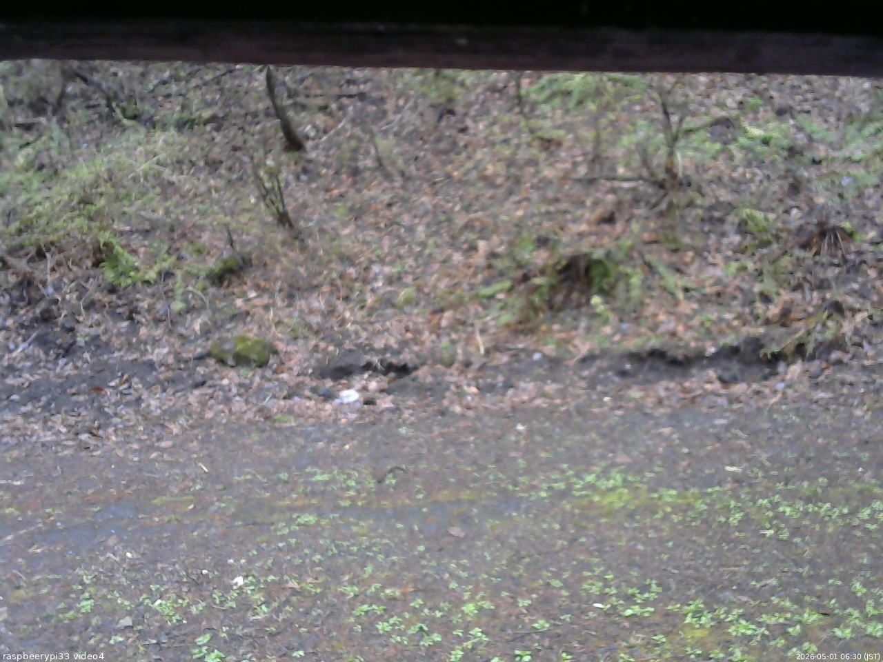 長野県菅平高原 ゆたか山荘 東側(坂下) 2026/05/01 06:30