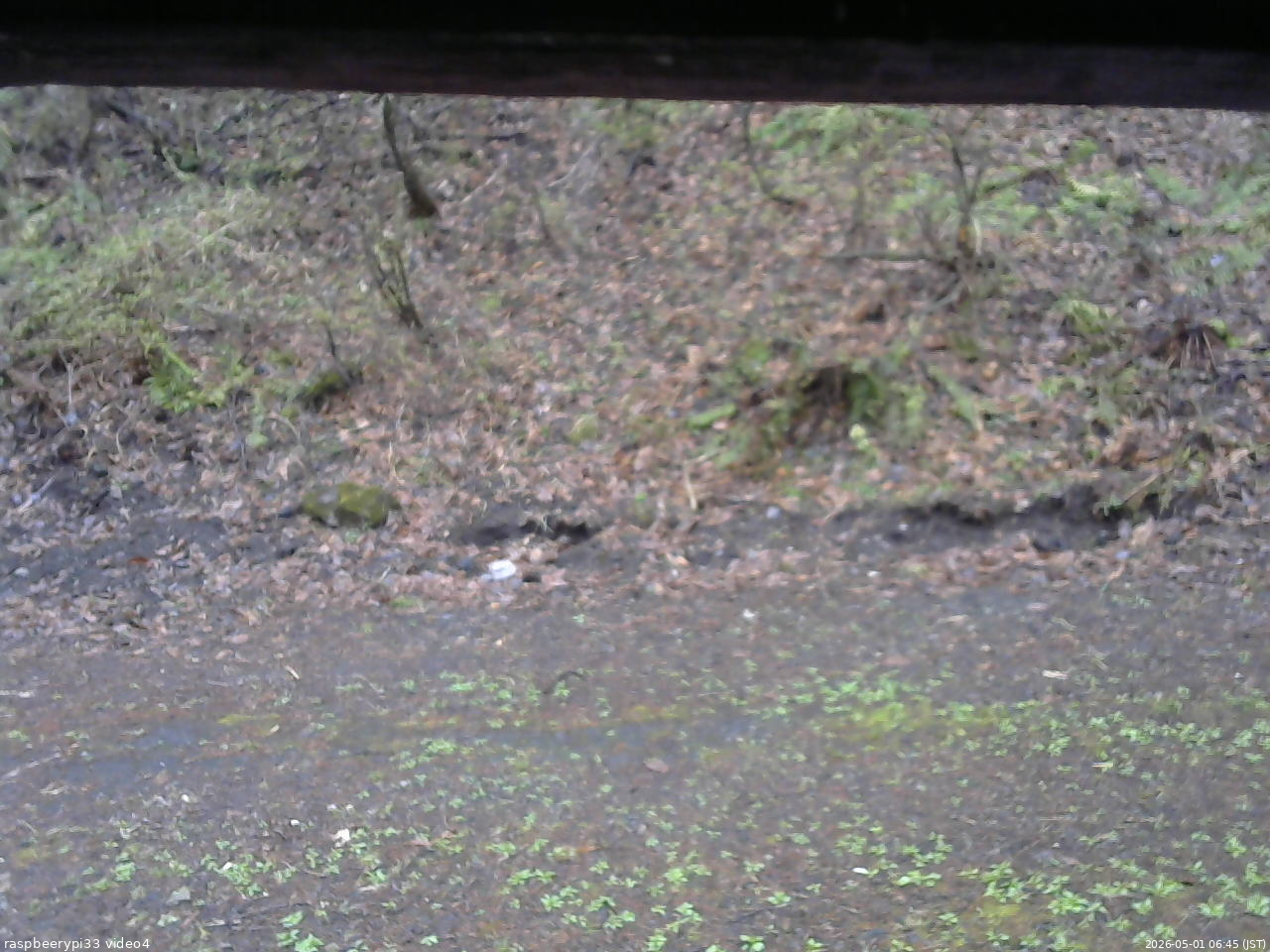 長野県菅平高原 ゆたか山荘 東側(坂下) 2026/05/01 06:45