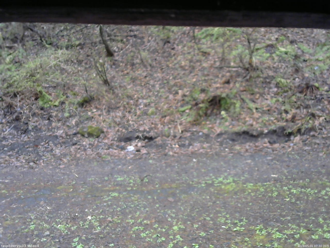 長野県菅平高原 ゆたか山荘 東側(坂下) 2026/05/01 07:30