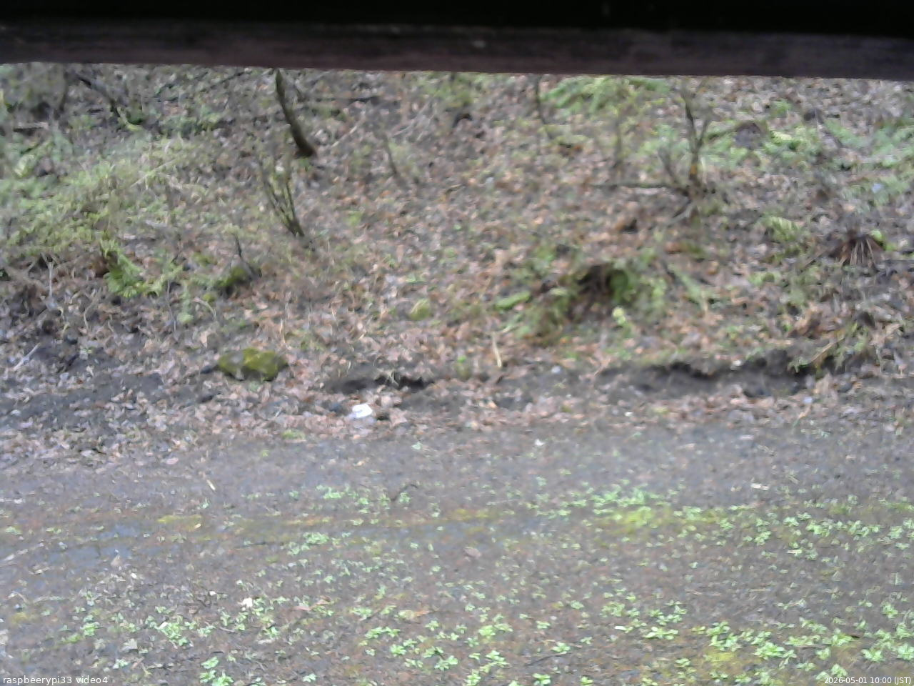 長野県菅平高原 ゆたか山荘 東側(坂下) 2026/05/01 10:00