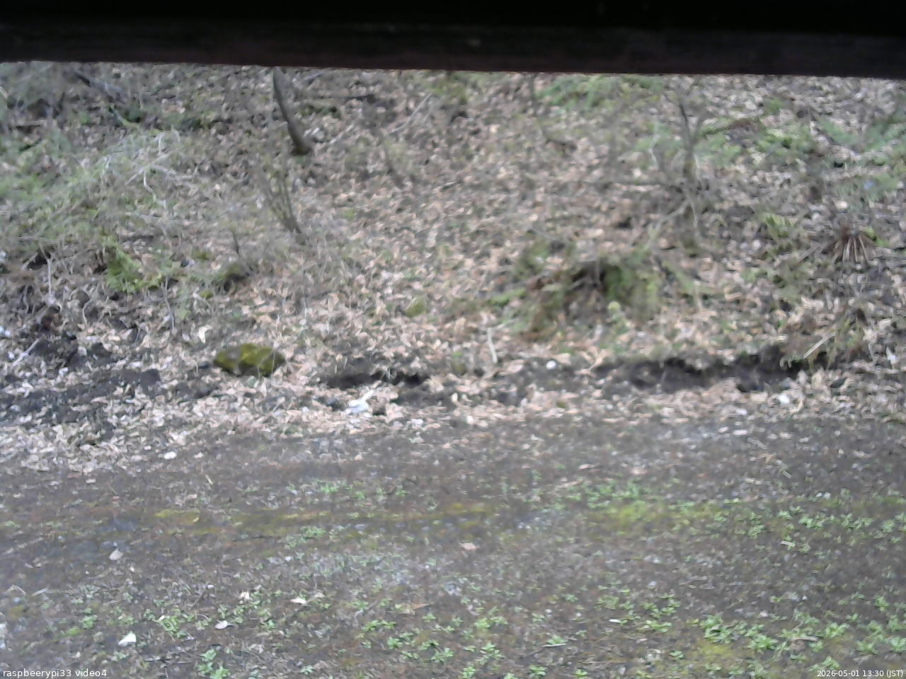 長野県菅平高原 ゆたか山荘 東側(坂下) 2026/05/01 13:30