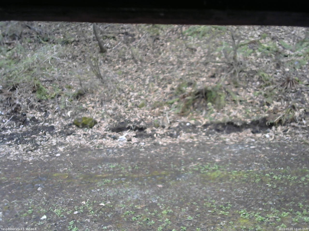 長野県菅平高原 ゆたか山荘 東側(坂下) 2026/05/01 13:45