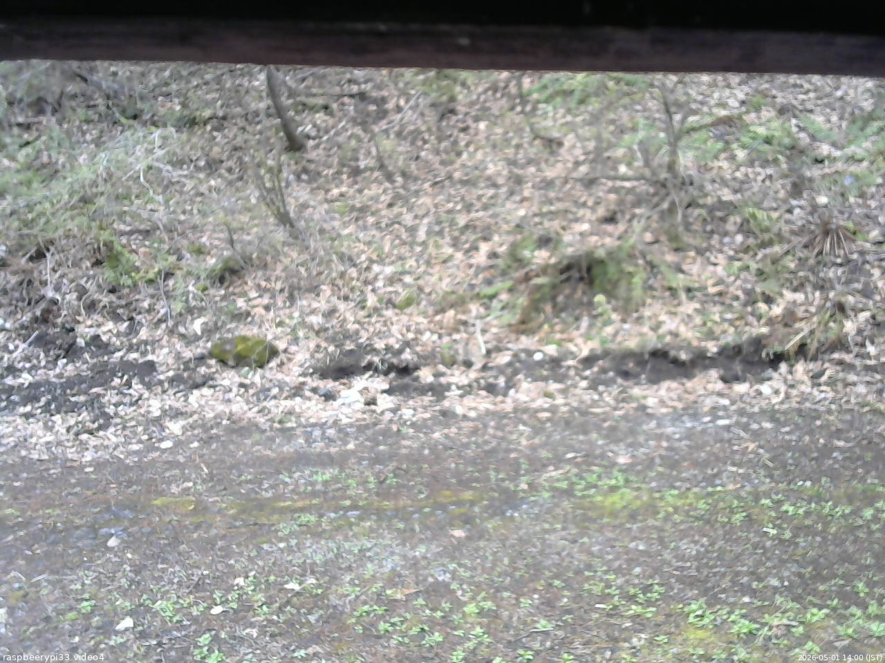 長野県菅平高原 ゆたか山荘 東側(坂下) 2026/05/01 14:00